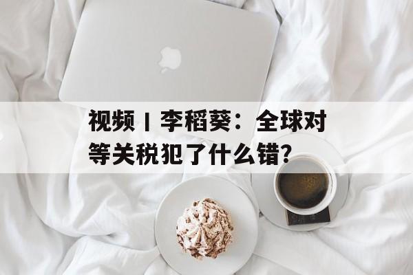 视频丨李稻葵：全球对等关税犯了什么错？