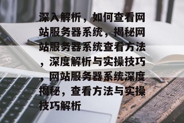 深入解析，如何查看网站服务器系统，揭秘网站服务器系统查看方法，深度解析与实操技巧，网站服务器系统深度揭秘，查看方法与实操技巧解析