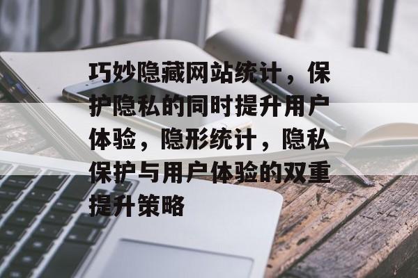 巧妙隐藏网站统计，保护隐私的同时提升用户体验，隐形统计，隐私保护与用户体验的双重提升策略
