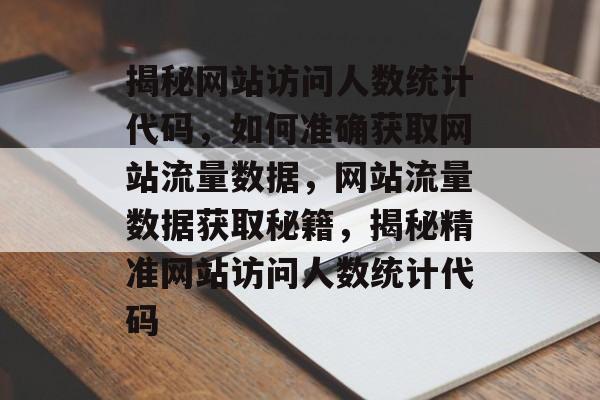 揭秘网站访问人数统计代码，如何准确获取网站流量数据，网站流量数据获取秘籍，揭秘精准网站访问人数统计代码
