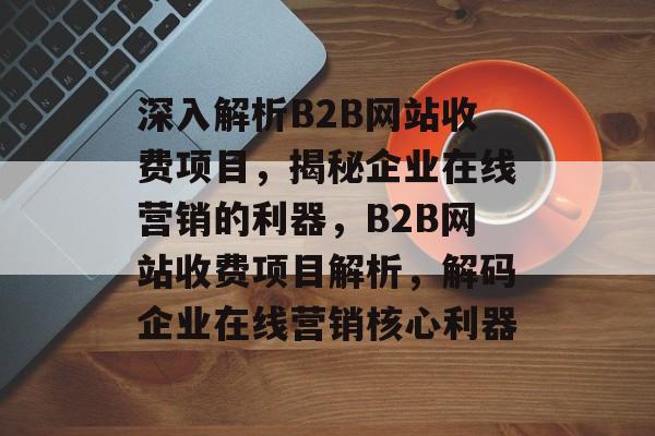 深入解析B2B网站收费项目，揭秘企业在线营销的利器，B2B网站收费项目解析，解码企业在线营销核心利器