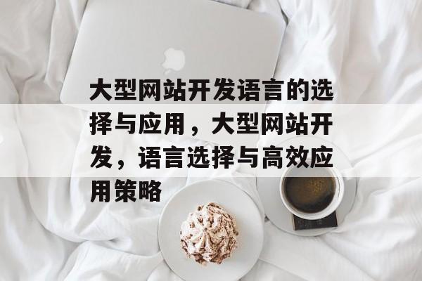 大型网站开发语言的选择与应用，大型网站开发，语言选择与高效应用策略