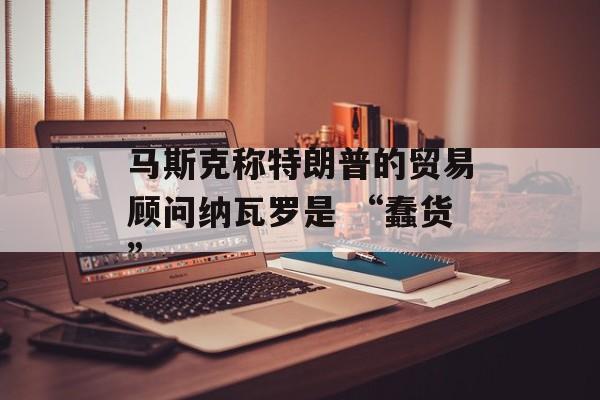 马斯克称特朗普的贸易顾问纳瓦罗是 “蠢货”