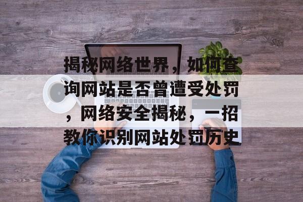 揭秘网络世界，如何查询网站是否曾遭受处罚，网络安全揭秘，一招教你识别网站处罚历史
