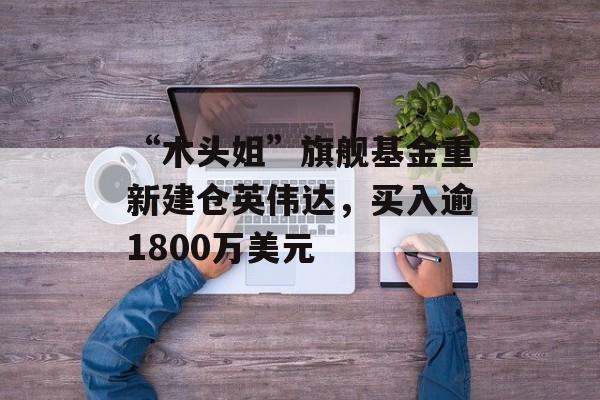 “木头姐”旗舰基金重新建仓英伟达，买入逾1800万美元