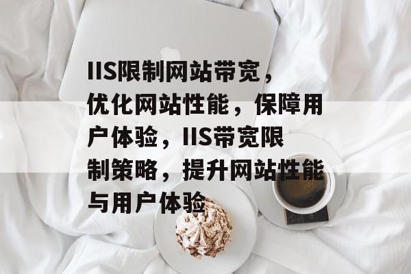 IIS限制网站带宽，优化网站性能，保障用户体验，IIS带宽限制策略，提升网站性能与用户体验