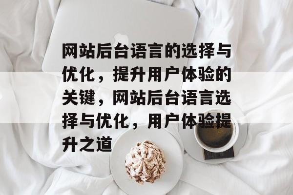 网站后台语言的选择与优化，提升用户体验的关键，网站后台语言选择与优化，用户体验提升之道