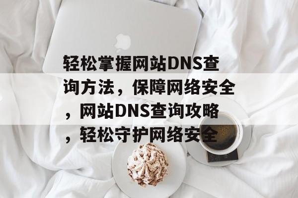 轻松掌握网站DNS查询方法，保障网络安全，网站DNS查询攻略，轻松守护网络安全
