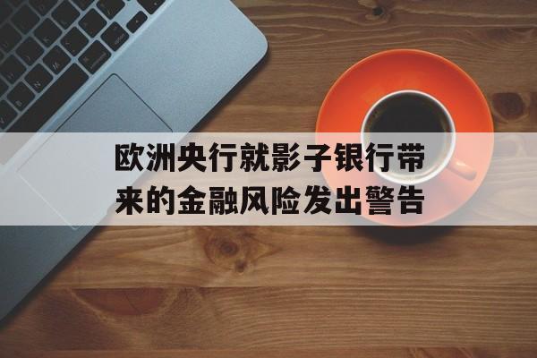 欧洲央行就影子银行带来的金融风险发出警告