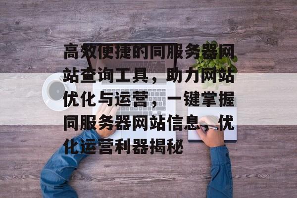 高效便捷的同服务器网站查询工具，助力网站优化与运营，一键掌握同服务器网站信息，优化运营利器揭秘