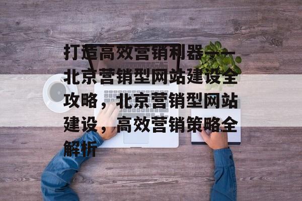 打造高效营销利器——北京营销型网站建设全攻略，北京营销型网站建设，高效营销策略全解析