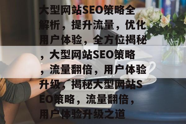 大型网站SEO策略全解析，提升流量，优化用户体验，全方位揭秘，大型网站SEO策略，流量翻倍，用户体验升级，揭秘大型网站SEO策略，流量翻倍，用户体验升级之道