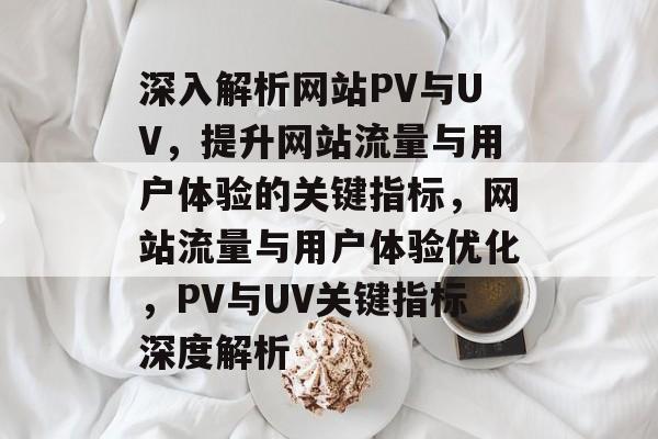 深入解析网站PV与UV，提升网站流量与用户体验的关键指标，网站流量与用户体验优化，PV与UV关键指标深度解析