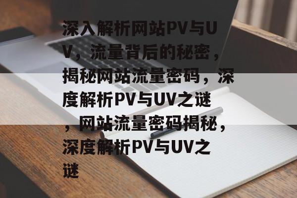 深入解析网站PV与UV，流量背后的秘密，揭秘网站流量密码，深度解析PV与UV之谜，网站流量密码揭秘，深度解析PV与UV之谜