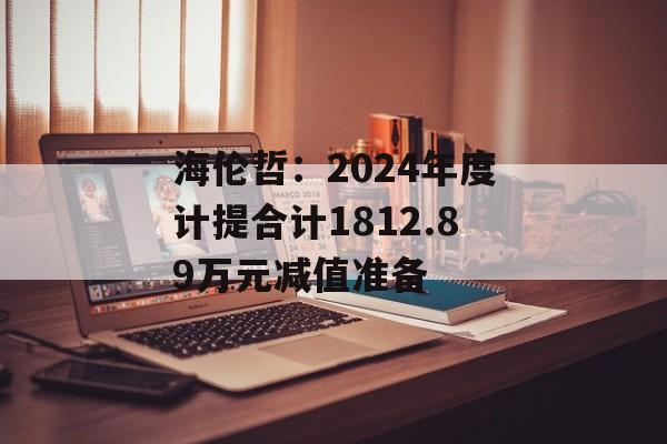 海伦哲：2024年度计提合计1812.89万元减值准备