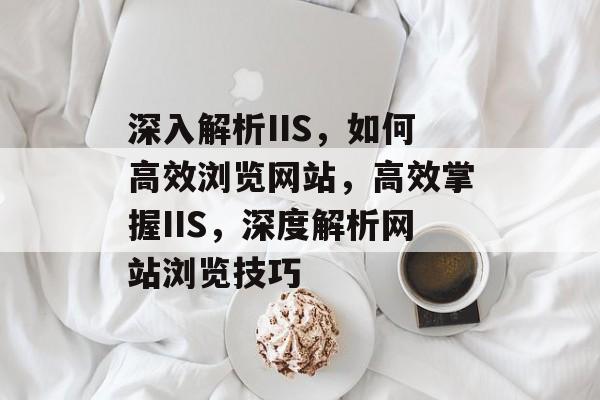 深入解析IIS，如何高效浏览网站，高效掌握IIS，深度解析网站浏览技巧