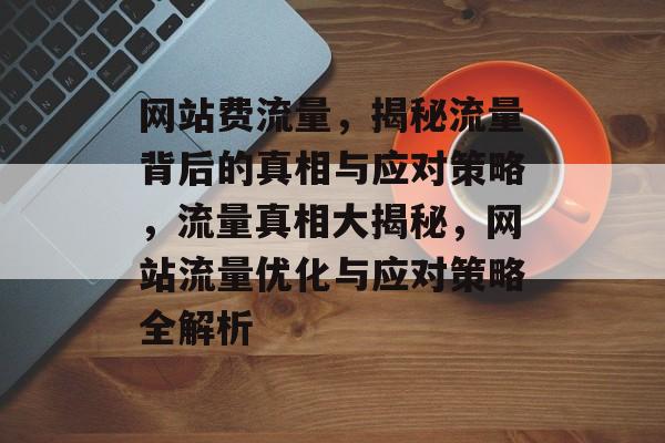 网站费流量，揭秘流量背后的真相与应对策略，流量真相大揭秘，网站流量优化与应对策略全解析