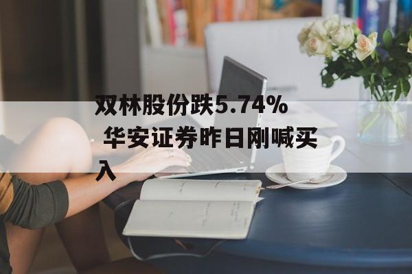 双林股份跌5.74% 华安证券昨日刚喊买入