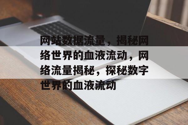 网站数据流量，揭秘网络世界的血液流动，网络流量揭秘，探秘数字世界的血液流动