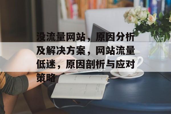没流量网站，原因分析及解决方案，网站流量低迷，原因剖析与应对策略