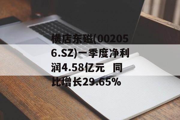 横店东磁(002056.SZ)一季度净利润4.58亿元  同比增长29.65%