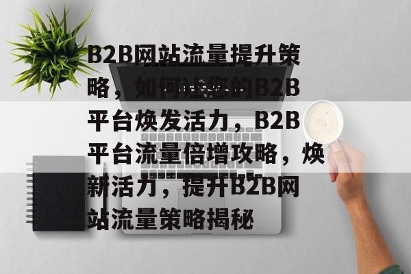 B2B网站流量提升策略，如何让您的B2B平台焕发活力，B2B平台流量倍增攻略，焕新活力，提升B2B网站流量策略揭秘