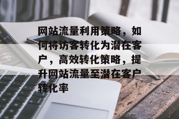 网站流量利用策略，如何将访客转化为潜在客户，高效转化策略，提升网站流量至潜在客户转化率