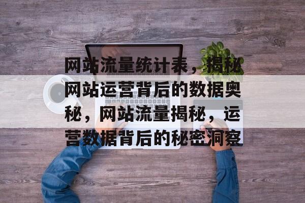 网站流量统计表，揭秘网站运营背后的数据奥秘，网站流量揭秘，运营数据背后的秘密洞察