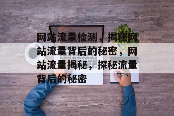 网站流量检测，揭秘网站流量背后的秘密，网站流量揭秘，探秘流量背后的秘密