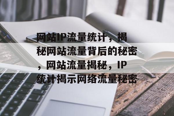 网站IP流量统计，揭秘网站流量背后的秘密，网站流量揭秘，IP统计揭示网络流量秘密