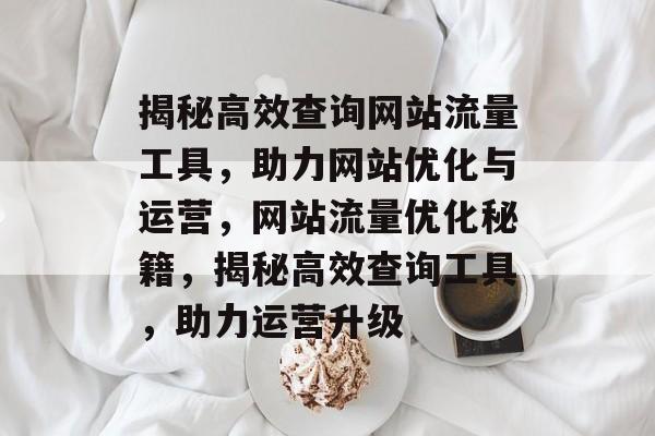 揭秘高效查询网站流量工具，助力网站优化与运营，网站流量优化秘籍，揭秘高效查询工具，助力运营升级