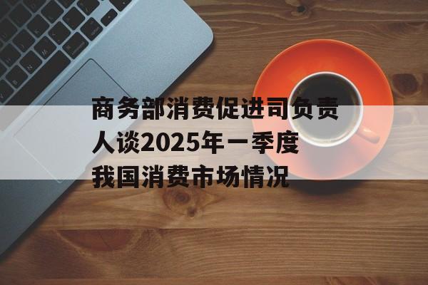 商务部消费促进司负责人谈2025年一季度我国消费市场情况