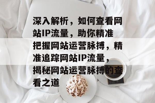 深入解析，如何查看网站IP流量，助你精准把握网站运营脉搏，精准追踪网站IP流量，揭秘网站运营脉搏的查看之道