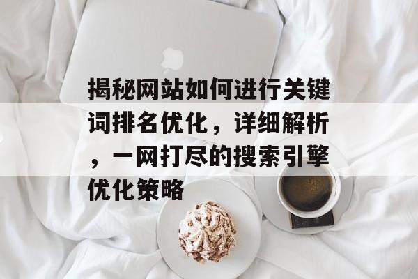 揭秘网站如何进行关键词排名优化，详细解析，一网打尽的搜索引擎优化策略