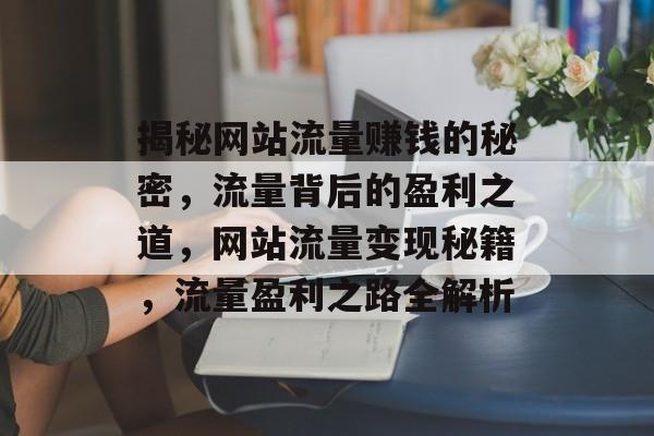 揭秘网站流量赚钱的秘密，流量背后的盈利之道，网站流量变现秘籍，流量盈利之路全解析
