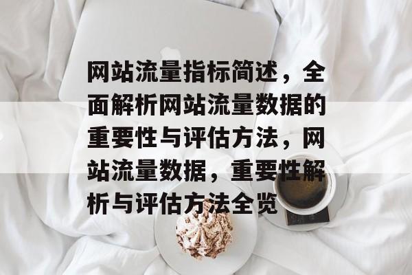 网站流量指标简述，全面解析网站流量数据的重要性与评估方法，网站流量数据，重要性解析与评估方法全览