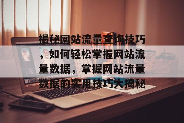 揭秘网站流量查询技巧，如何轻松掌握网站流量数据，掌握网站流量数据的实用技巧大揭秘