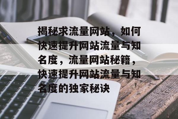 揭秘求流量网站，如何快速提升网站流量与知名度，流量网站秘籍，快速提升网站流量与知名度的独家秘诀