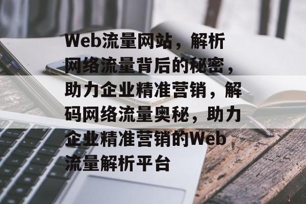 Web流量网站，解析网络流量背后的秘密，助力企业精准营销，解码网络流量奥秘，助力企业精准营销的Web流量解析平台
