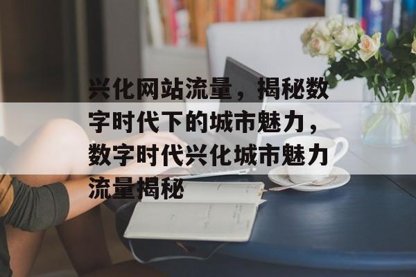 兴化网站流量，揭秘数字时代下的城市魅力，数字时代兴化城市魅力流量揭秘