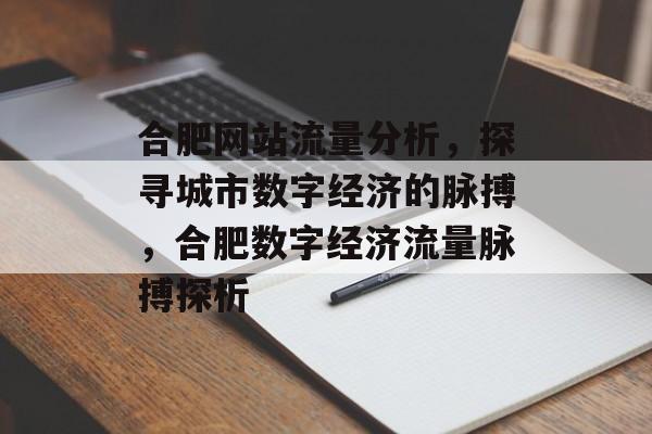 合肥网站流量分析，探寻城市数字经济的脉搏，合肥数字经济流量脉搏探析