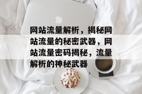 网站流量解析，揭秘网站流量的秘密武器，网站流量密码揭秘，流量解析的神秘武器