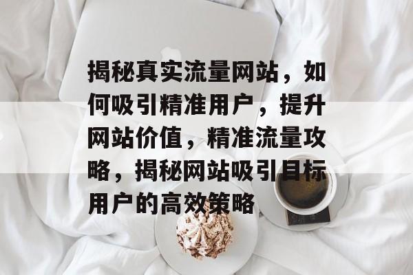 揭秘真实流量网站，如何吸引精准用户，提升网站价值，精准流量攻略，揭秘网站吸引目标用户的高效策略