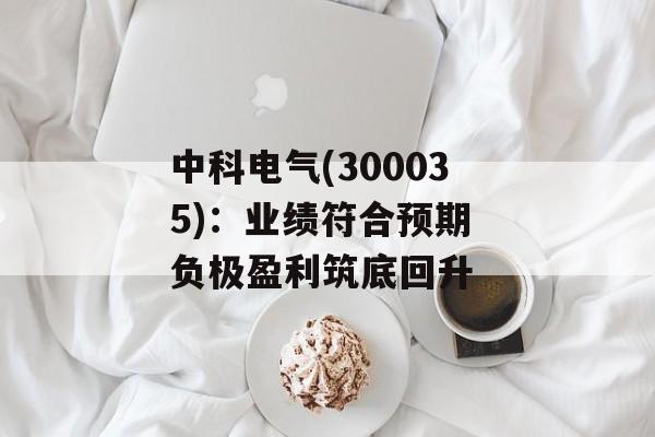 中科电气(300035)：业绩符合预期 负极盈利筑底回升