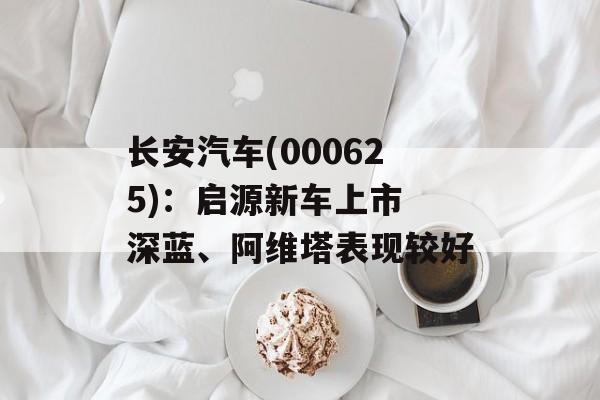 长安汽车(000625)：启源新车上市 深蓝、阿维塔表现较好