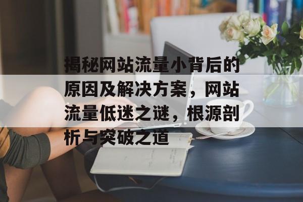 揭秘网站流量小背后的原因及解决方案，网站流量低迷之谜，根源剖析与突破之道