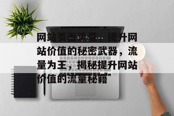 网站页面流量，提升网站价值的秘密武器，流量为王，揭秘提升网站价值的流量秘籍