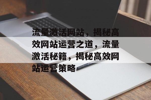 流量激活网站，揭秘高效网站运营之道，流量激活秘籍，揭秘高效网站运营策略