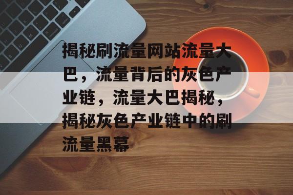 揭秘刷流量网站流量大巴，流量背后的灰色产业链，流量大巴揭秘，揭秘灰色产业链中的刷流量黑幕