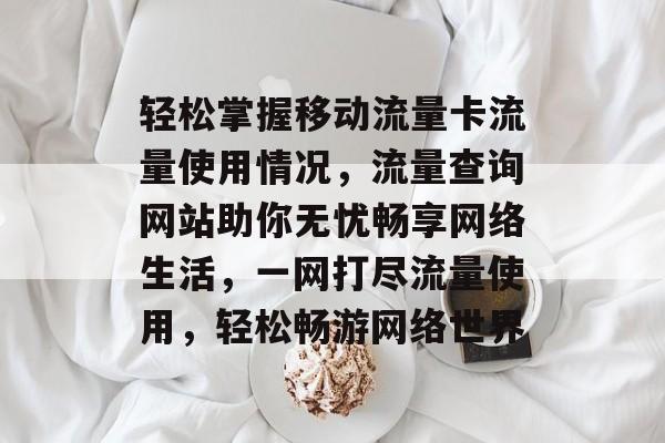 轻松掌握移动流量卡流量使用情况，流量查询网站助你无忧畅享网络生活，一网打尽流量使用，轻松畅游网络世界
